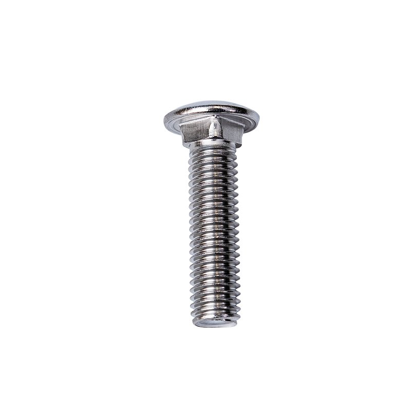Bu lông cổ vuông đầu cốc SS304 DIN603 M10